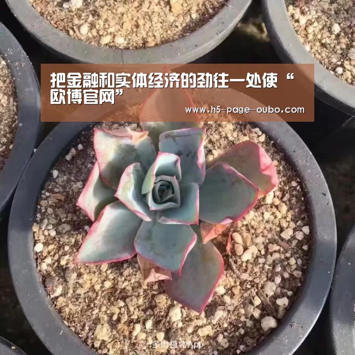 把金融和实体经济的劲往一处使“欧博官网”(图2) 欧博官网
