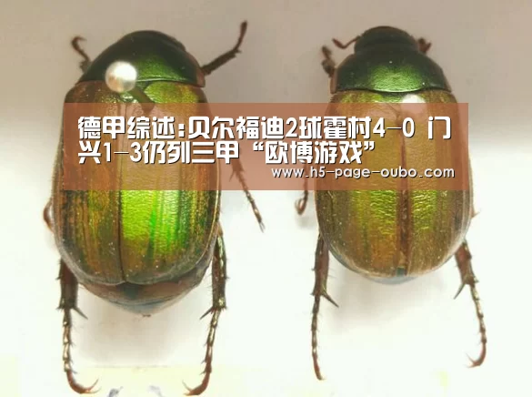 德甲综述:贝尔福迪2球霍村4-0 门兴1-3仍列三甲“欧博游戏”(图3) 欧博登入